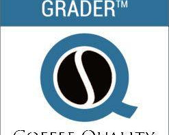 Q-grade qualification - Papercup Coffee 