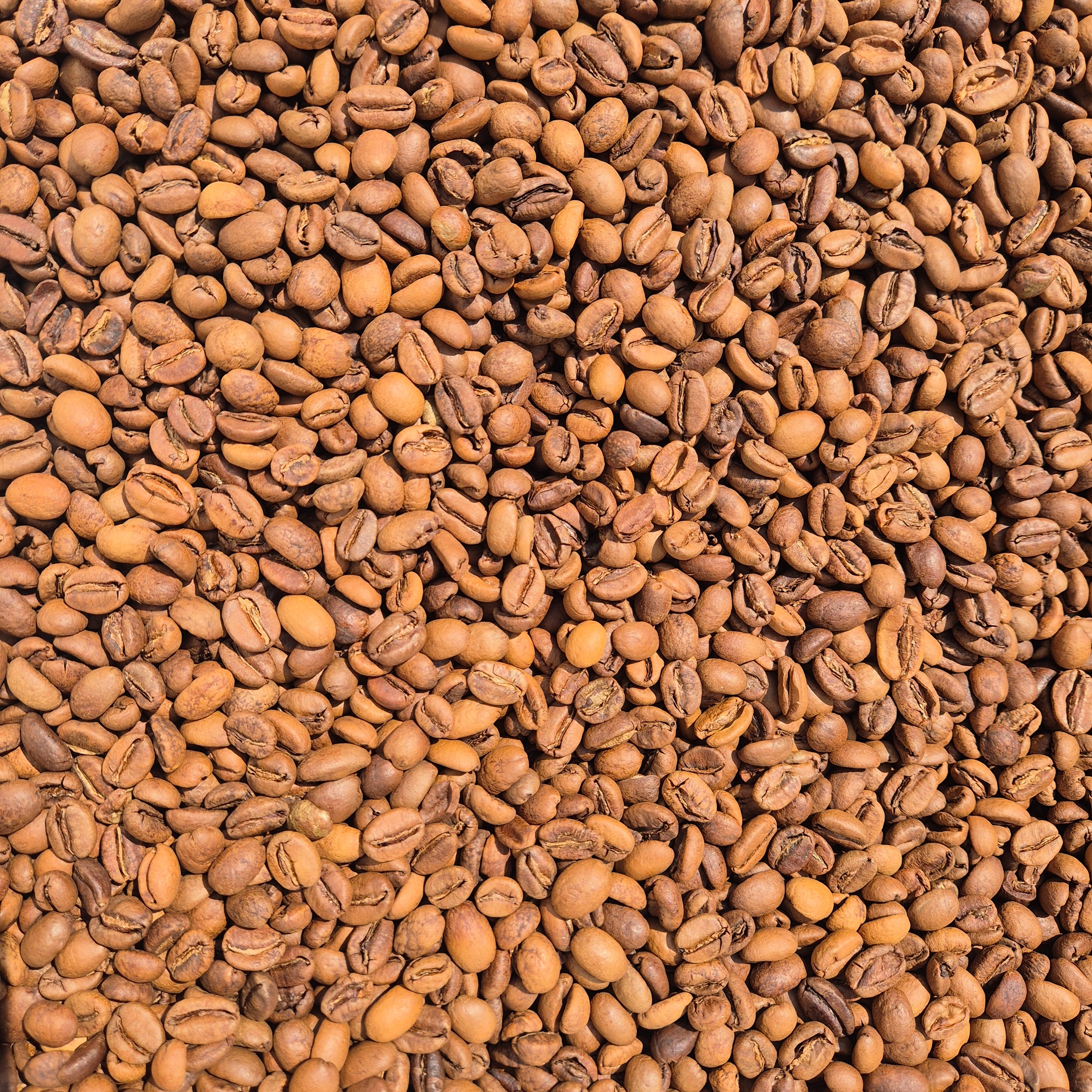 Beans - Papercup Coffee 