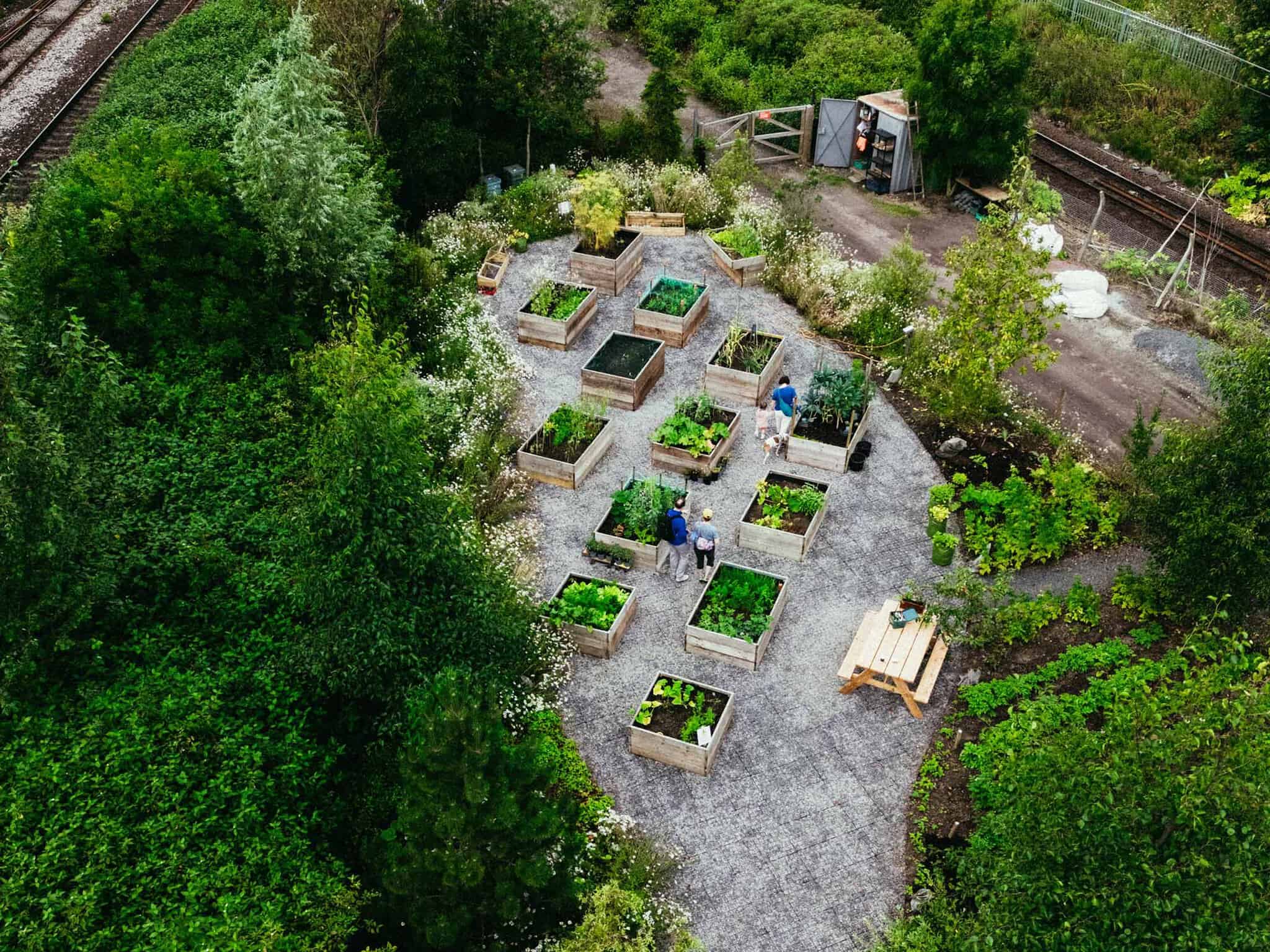 Raised-beds-SWG3-Community-Garden-Sept-2024-4-landscape.jpg