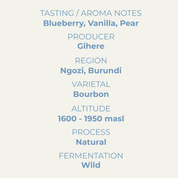 Blueberry, Burundi