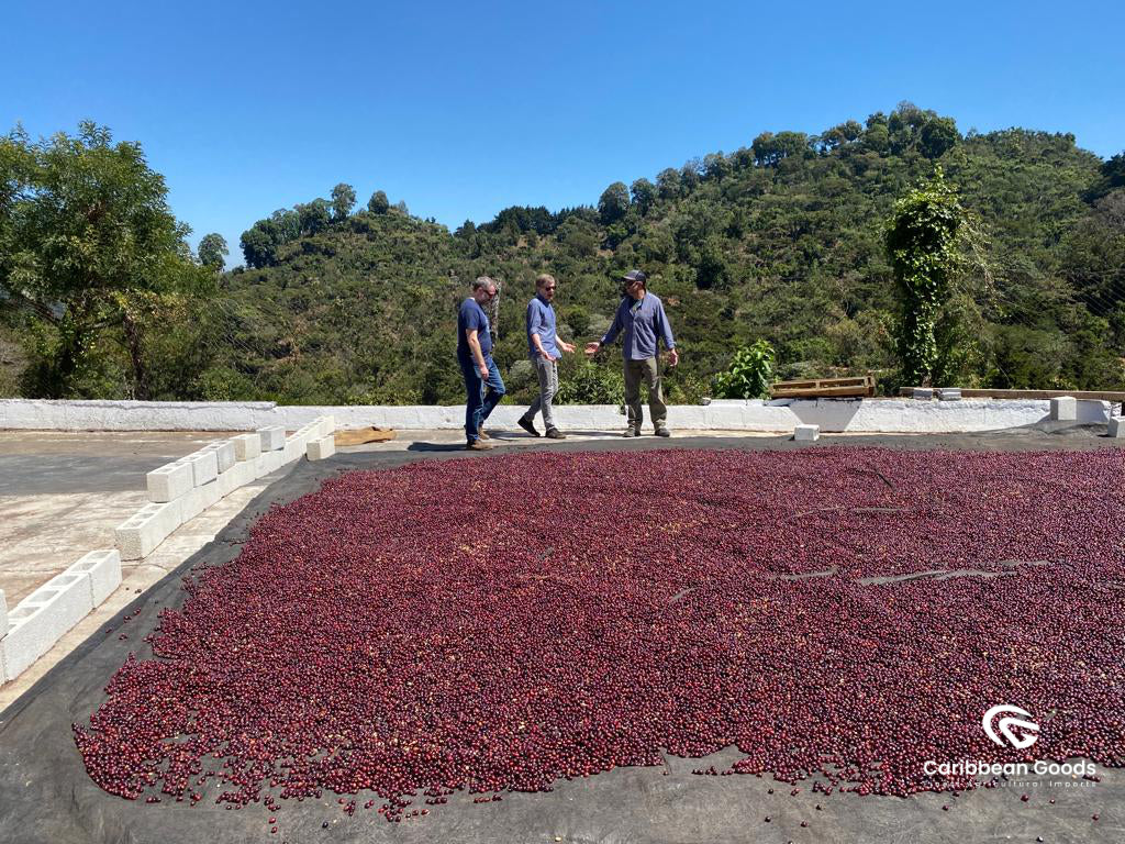 Vimto-Guatemala_4.jpg