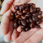 Cascara - Coffee Cherry