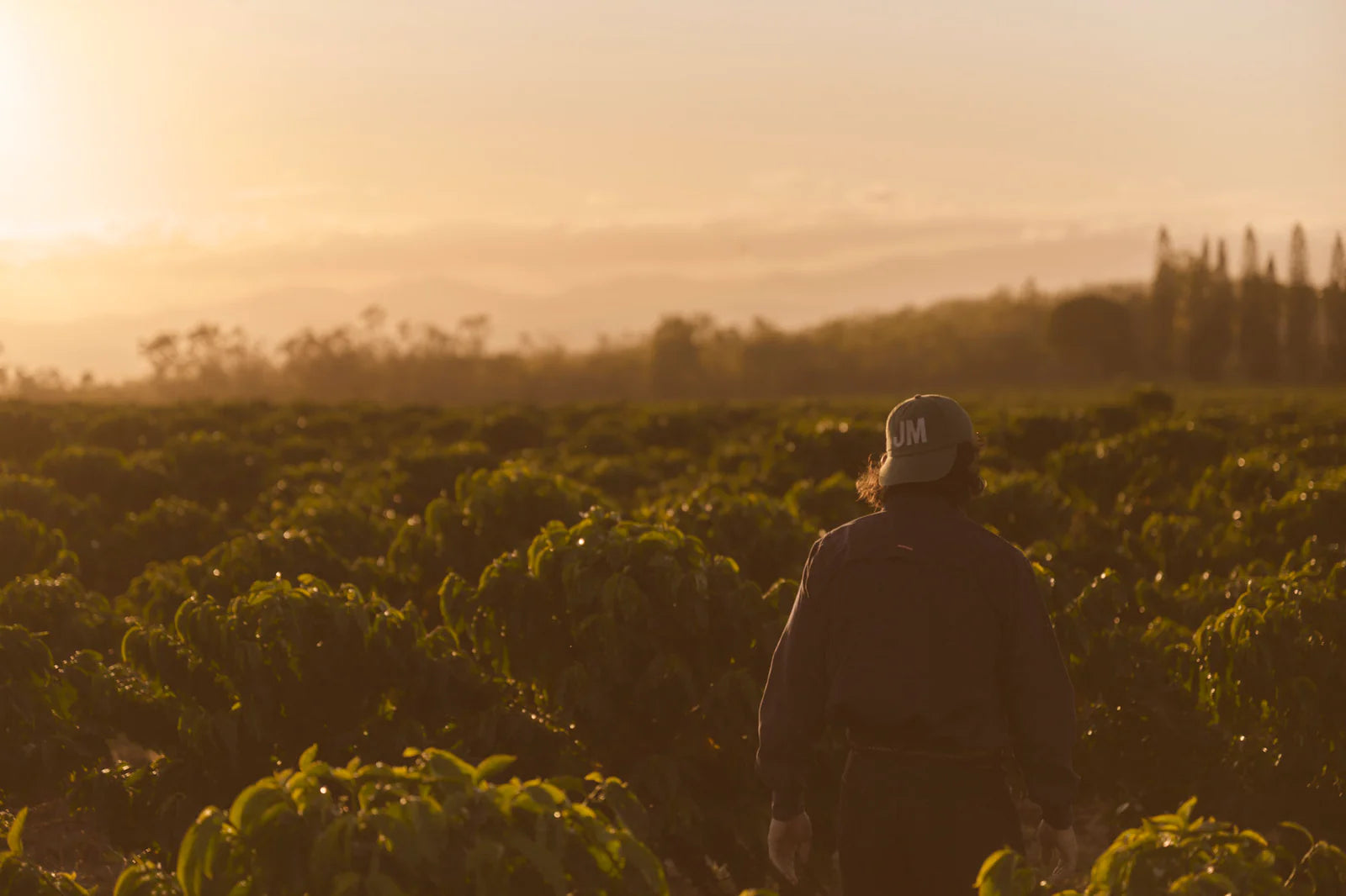 jm-field-farmer.webp